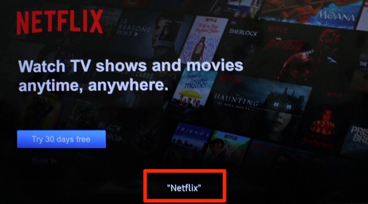 Bạn có thể nói lệnh để tivi của bạn thực hiện, ví dụ như bạn đọc "Netflix".